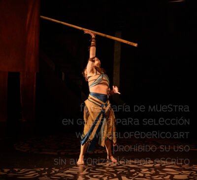 QUEESESTO-2026-030