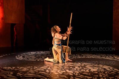 QUEESESTO-2026-047